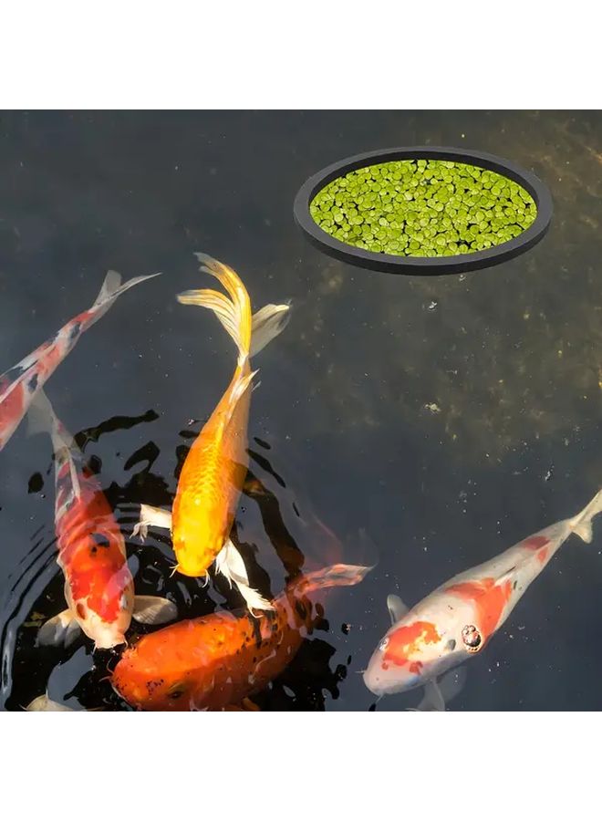 3pcs Aquarium Floating Plant Ring Reusable Foam Feeder 3 Sizes Easy Clean Fish Tank Pond - Image 4
